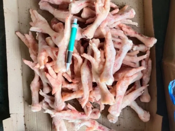 AGROSUL Frozen Chicken feet