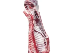 Frozen Beef Carcass