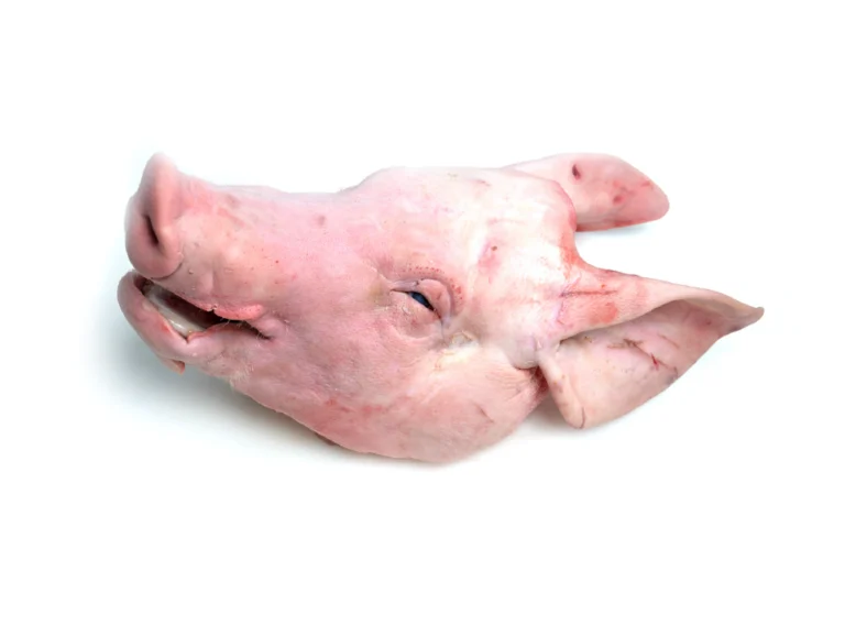 Frozen Pork head